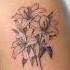 Flowers Tattoo Kasa Laga Tattoo Trending Alpha Tattoodesigns Shortvideo Tattoolife Arm Tatto