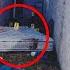 2 Terrifying Cases Similar To The Elize Matsunaga Story Part 1 Susan Wright