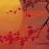 Karl Jenkins Requiem Dies Irae