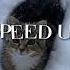 Eminem Feat Rihanna Love The Way You Lie Speed Up