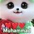 Muhammad Nabina Cats Naat Ringtone Shorts Islamic Viralvideo Cutecat