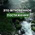 Справочник для просветленных