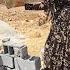 Zuleikha S Stand Against Leila The End Of Years Of Humiliation And Oppression