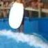 Squishy Surf The Sandusky Kalahari