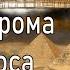 9 Библиотека Наг Хаммади Плерома Логоса Организация Апокрифы Аудиокнига