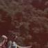 Siena Root No Filters Official Video