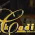 Destino Chicago Black Cadillac Blues Band