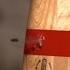 Bullets Vs Propeller In Slow Motion The Slow Mo Guys