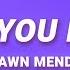 Shawn Mendes Treat You Better Lyrics