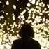 Fireflies Create Rare Spectacular Summer Light Show