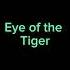 Survivor Eye Of The Tiger