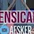 Vocaloid Nonsensical Noise English Cover Aesker 戯言の雑音