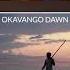Amazing Okavango Delta Sunrise Shorts