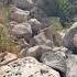 Walking The Land A Powerful Reflection On Joshua S Altar At Mount Ebal