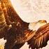 Free Bird 1 Hour Version MOONLGHT Remix