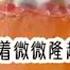 落月舍爱 蛋花小说 拯救书荒 适合女生看的小说推荐
