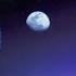 Moon Dance