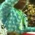 Re Thinking Nigeria Confab Committees To Complete Work In 6 Days Pt 1