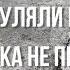 Гуляли в парке пока не приехало ТЦК Джек Рассел Терьер Джесси 4 месяца