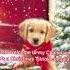 Christmas Tiktok Compilation