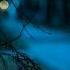 Liquid Smooth Mitski Slowed Pitched