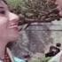 Milti Hai Zindagi Mein Mohabbat Lata Mangeshkar Ankhen 1968 Songs Mala Sinha Dharmendra