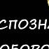 Как распознать что ваш пастор это волк в овечьей шкуре