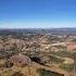 Boreís Antionetta