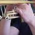 Frank Sinatra My Way Trumpet Cover