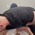 ASMR Loud Back Adjustment Chiropracticadjustment Loud Pop Crack Asmr Viral Parati 4u