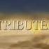 The Greenblatt Janollari Studio Stu Segall Roundtable Silent H 20th Century Fox Int TV 2001