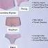 Underwear Guide What To Wear Under What Outfit Panties As Per Outfit