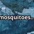 Why Iceland Has No Mosquitoes A Cinematic Explainer