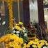 Dream Wedding Venue Exquisite Decor Kallisto Grand Marquee Wah Cantt Shorts