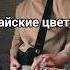 Райские цветы Guitar Cover By Laam4ik Guitarcover Electricguitar Electricguitarcover