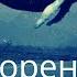 Стихотворение Синий Кит