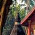 Classical Music From Laos Lao Phene