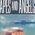 Apes Angels By Ben Bova MPL Book Trailer 431