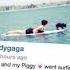 Lady Gaga Goes Surfing With Her Dog Asia Splash News TV Splash News TV