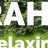Relaxing Reading Quran To The Sound Of Rain Surah 55 Ar Rahman Omar Hisham