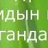 Адамдын ички органдары жана манжалардын аталышы орусча