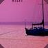 Sailing Darcy Is Live Just Fancy A Fag