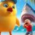 Chick Rescue The Baby From Shark