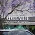 Beautiful Spring In Adelaide Australia