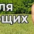 ЙОГА ДЛЯ НАЧИНАЮЩИХ Простой базовый комплекс на каждый день Neofit 27