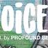 Free Old School 90s Boom Bap Type Beat X Hip Hop Instrumental Voices Prod By PROFOUND BEATS