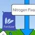 Biogeochemical Cycles