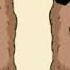 The Woodchuck Song Aronchupa Little Sis Nora Lyrics Video