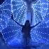 Belly Dance With LED Isis Wings Ancient Ruins By Layali Show Group