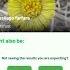 PlantSnap Identifies A Coltsfoot Tussilago Farfara